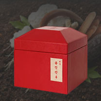공진단·경옥고